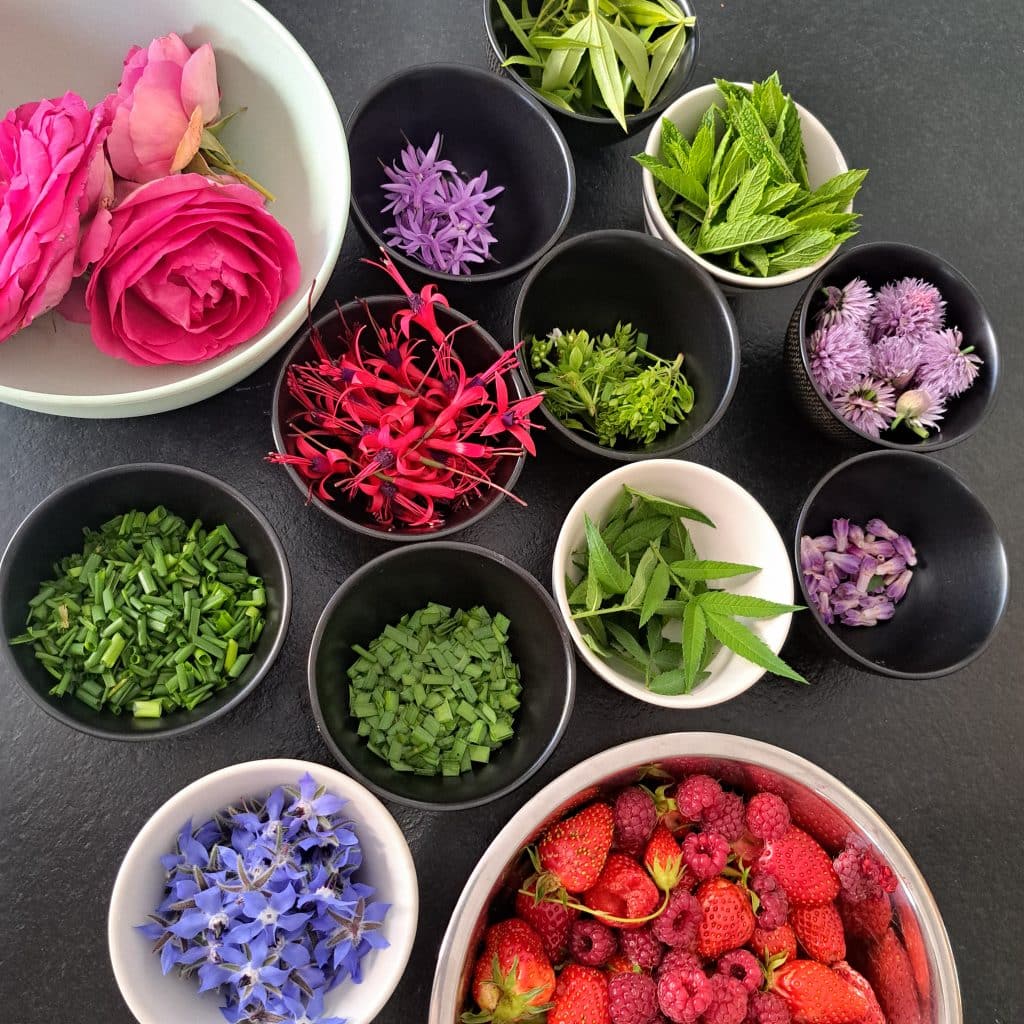 Une variété d'herbes fraîches, de fleurs comestibles et de baies sont disposées dans des bols sur une surface sombre, y compris des roses, des fraises, des fleurs de ciboulette violettes, des herbes vertes et d'autres ingrédients colorés.
