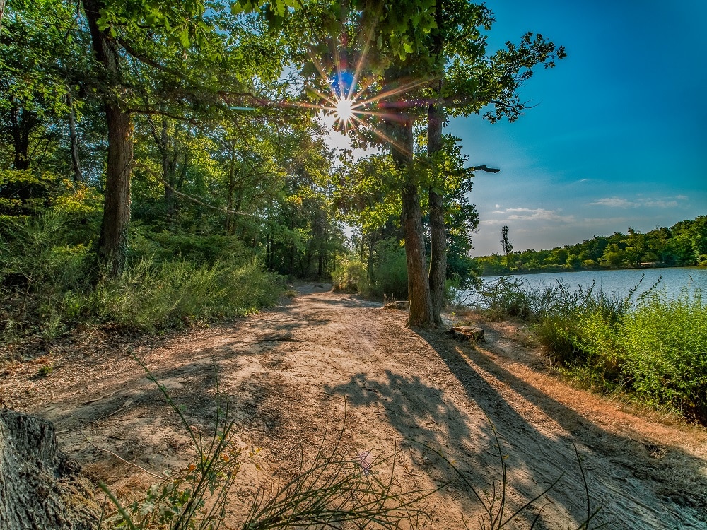 Un chemin de terre ensoleillé serpente à travers la Forêt de Bouconne, longeant un lac et entouré d'arbres verts qui projettent de longues ombres. Les rayons du soleil apparaissent à travers les branches, tandis qu'un ciel clair avec quelques nuages lointains complète la scène tranquille.