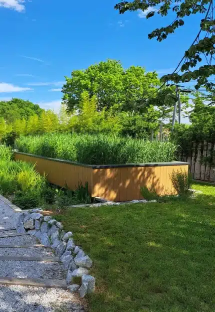 Une jardinière rectangulaire en bois, inspirée du design potager, est remplie de hautes herbes vertes, dans un jardin paysager entouré d'herbe, de pierres et d'arbres, sous un ciel bleu lumineux.