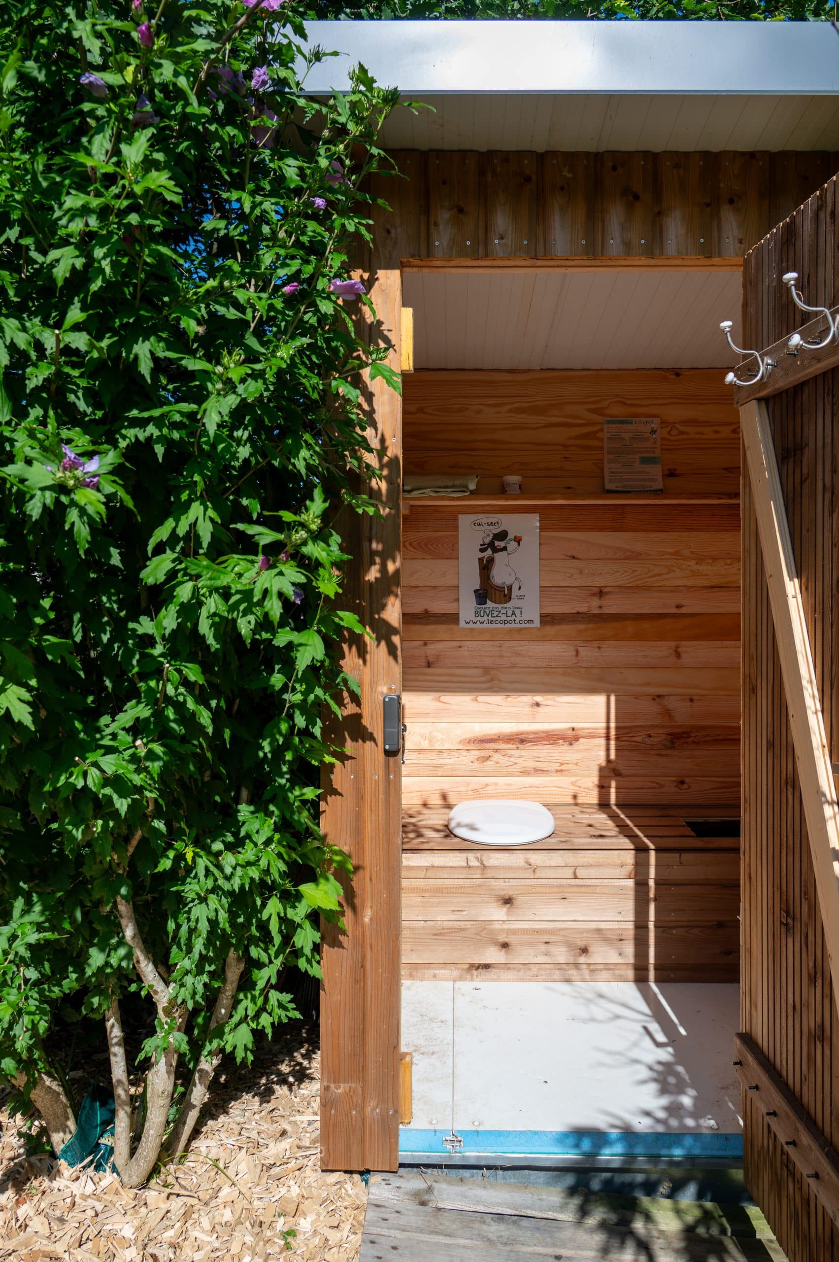 Une petite cabane en bois avec une porte ouverte révèle des toilettes simples à l'intérieur. La lumière du soleil éclaire l'intérieur en bois et des buissons verts poussent à côté de l'entrée.